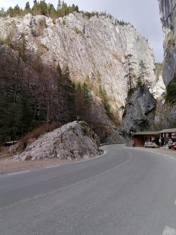 Pensiunea Aurelia Bicaz-Chei Exterior foto