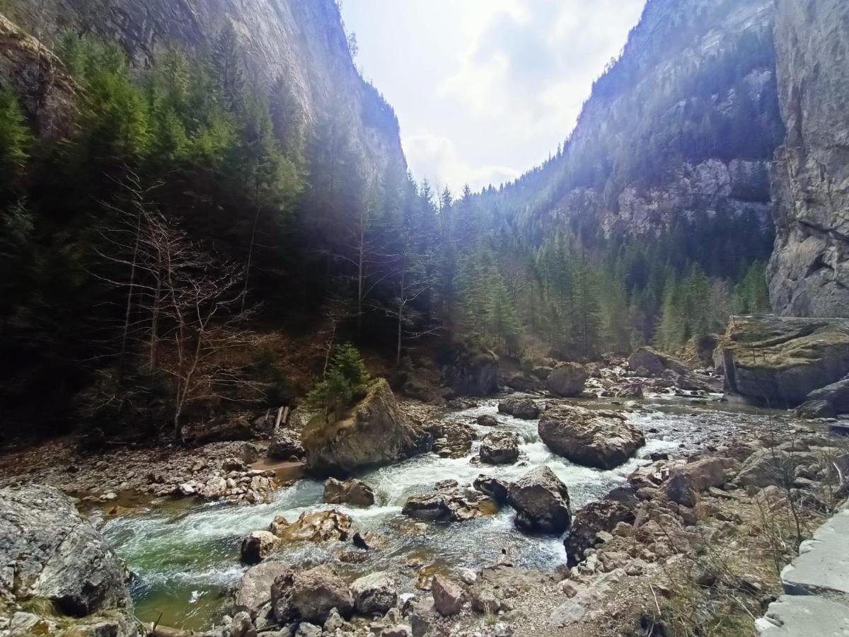 Pensiunea Aurelia Bicaz-Chei Exterior foto