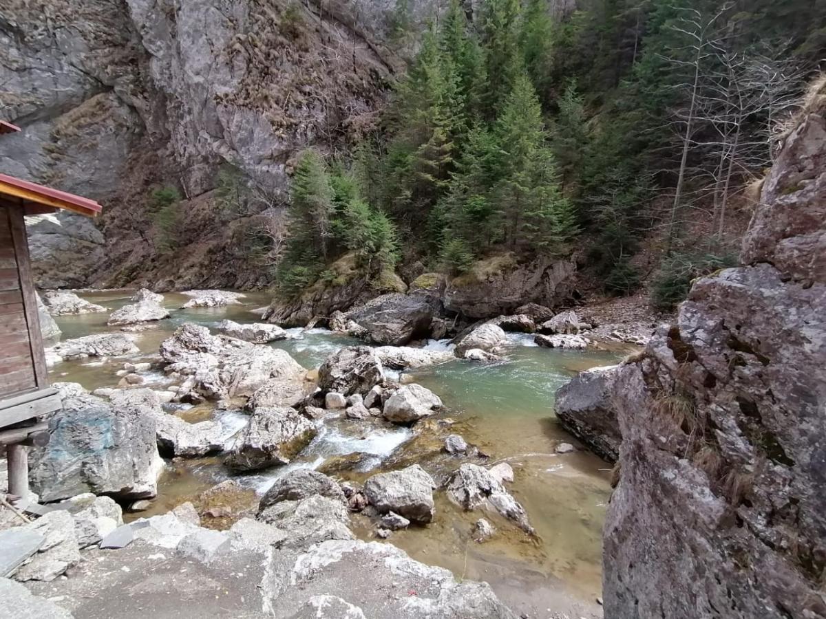 Pensiunea Aurelia Bicaz-Chei Exterior foto