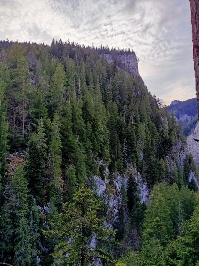 Pensiunea Aurelia Bicaz-Chei Exterior foto