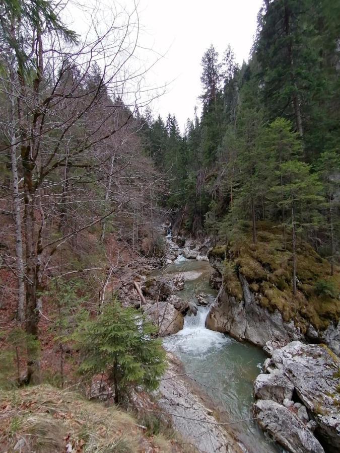 Pensiunea Aurelia Bicaz-Chei Exterior foto